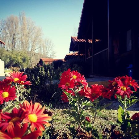 El Venero De Mostoles Constantina Εξωτερικό φωτογραφία