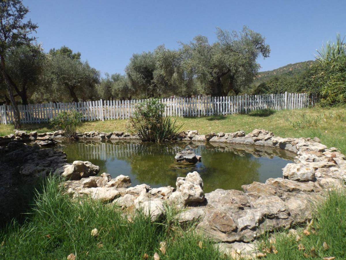 El Venero De Mostoles Constantina Εξωτερικό φωτογραφία