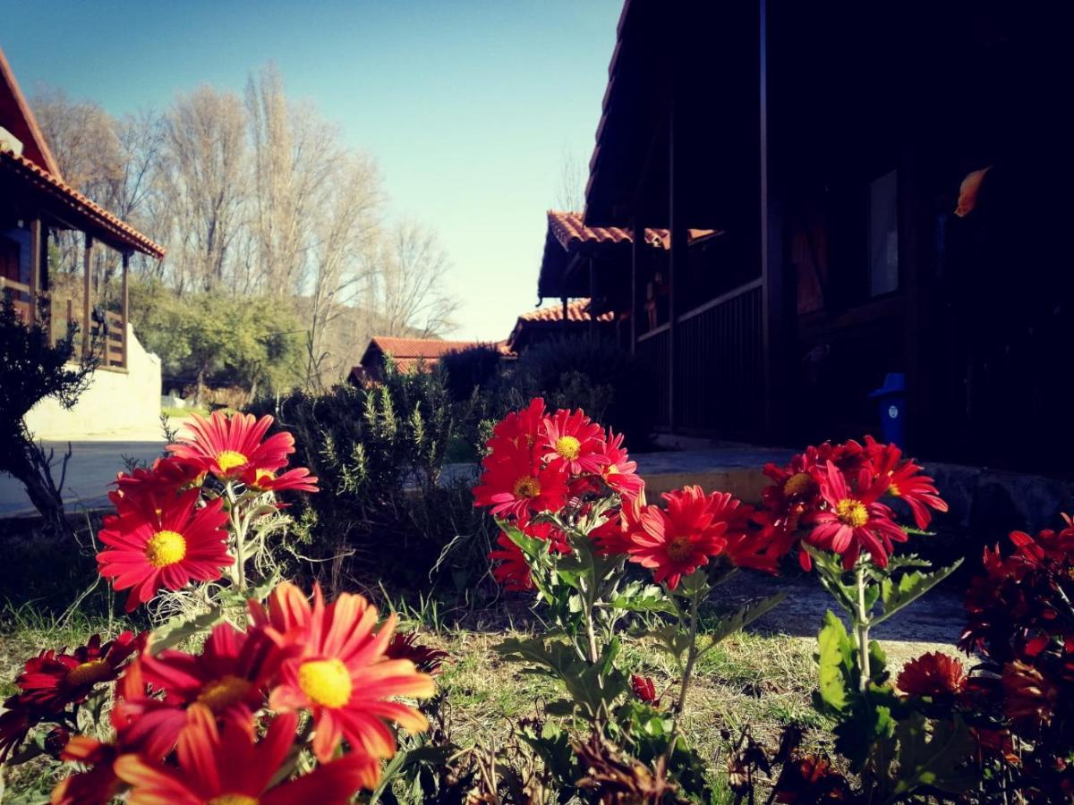 El Venero De Mostoles Constantina Εξωτερικό φωτογραφία